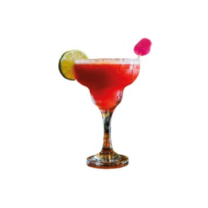 PINCHOS PANAL DE FRUTAS x 24 unidades