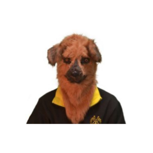 ANIMOV PERRO