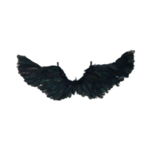 ALAS GRANDES NEGRAS *SAMAEL* 55x100cm