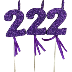 NUMEROS VELA CHICO TELGOPOR VIOLETA 2 x3