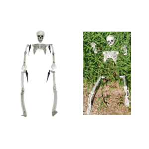 SET DE HUESOS PARA JARDIN 70x29x10cm