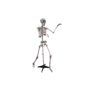 ESQUELETO DE CIENCIA 150x38x16cm