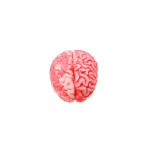 CEREBRO *con luz* 12x10 cm