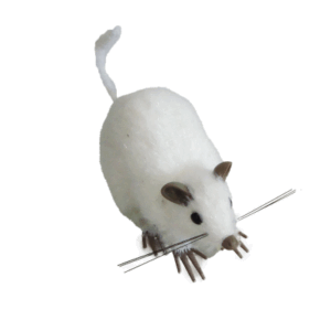 RATA BLANCA *DE LABORATORIO* 8x12x6cm