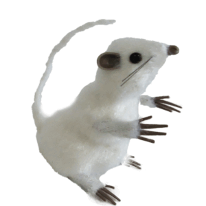 RATA BLANCA *PARADA* 13x6,5x8,5cm