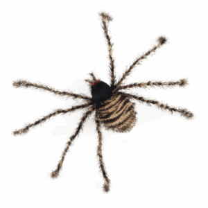 TARÁNTULA CEBRA - 83x9x22 cm