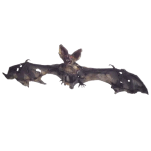 MURCIÉLAGO APOLILLADO - 56x23x6cm