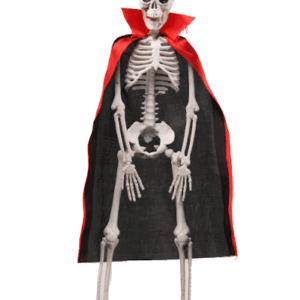 DRACUBONE (PARA COLGAR) 40x9x5,5cm