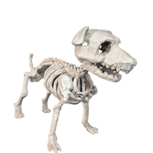 SCHNAUZER ESQUELÉTICO - 26x10x13 cm