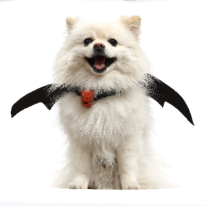 ALAS DE MURCIÉLAGO PARA MASCOTAS