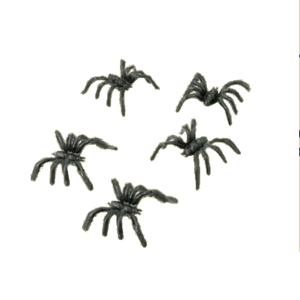 ARAÑA CHICA X12 STASIO